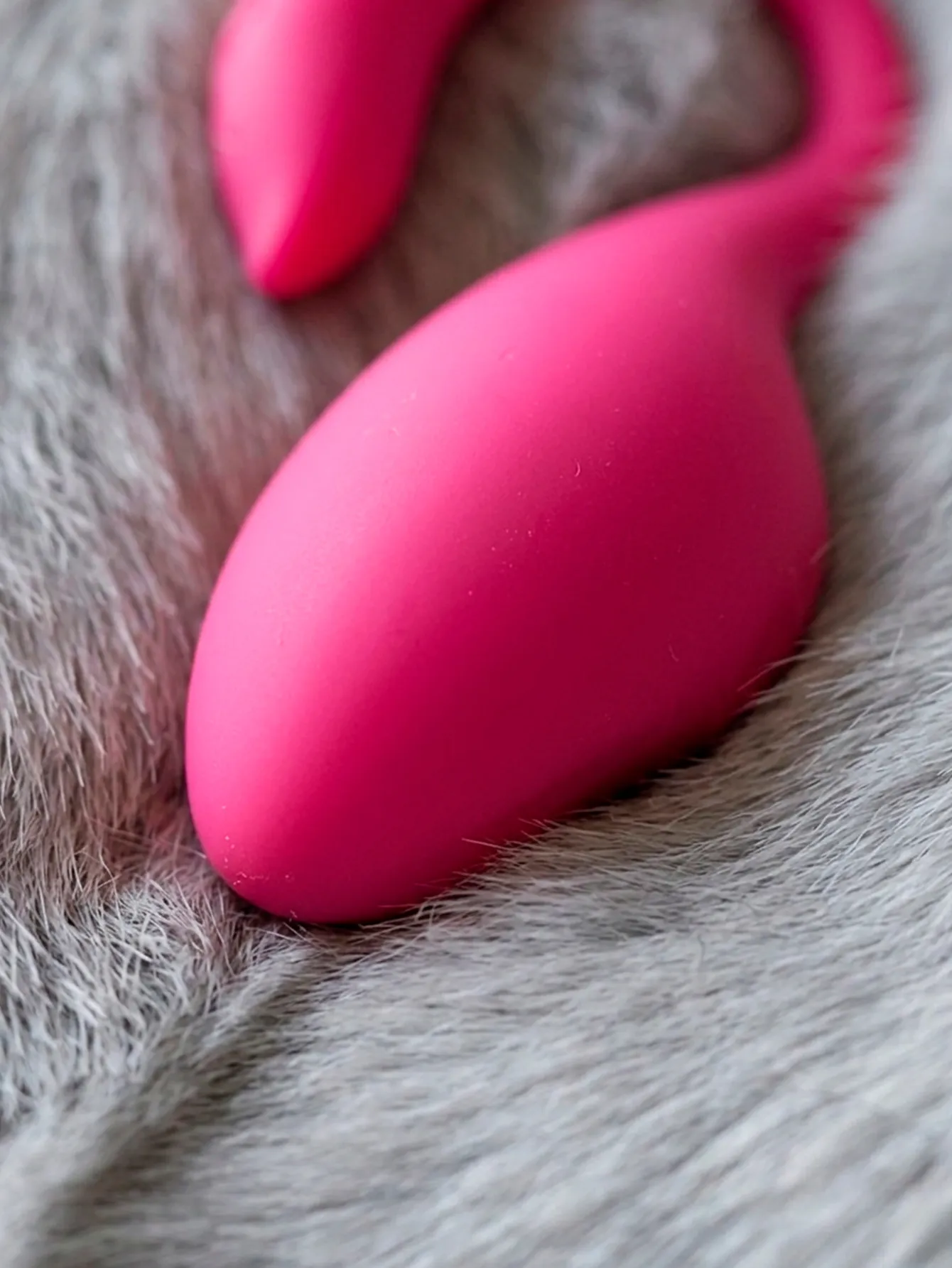 WBB442 FLAMINGO 9994