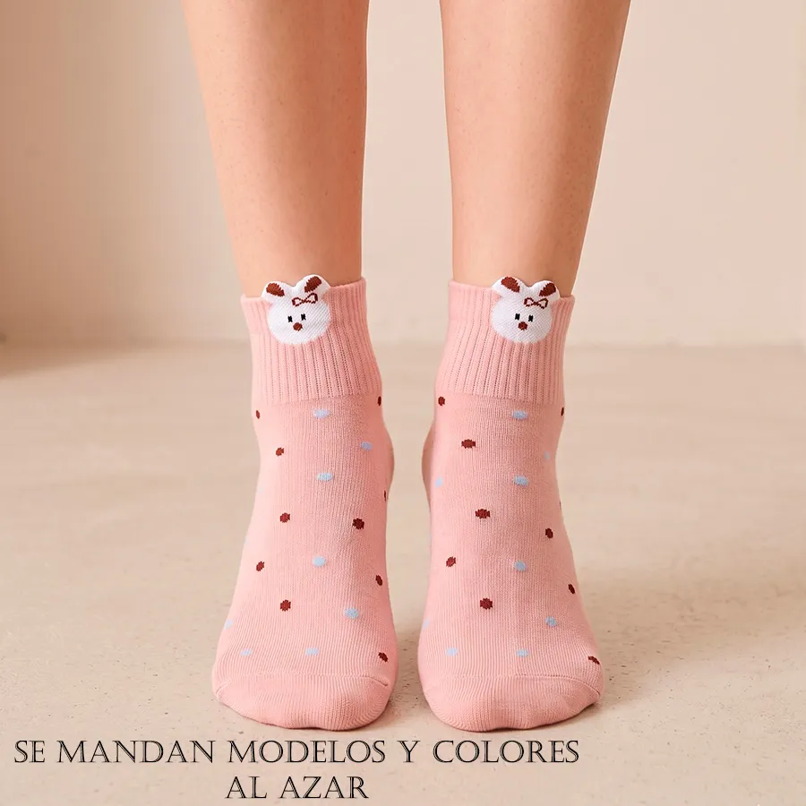 BE6016 EDICION5PZ 12502