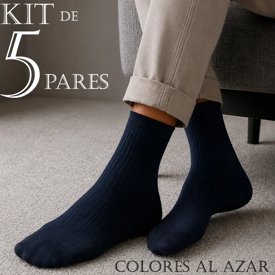 AE13-2 EDICION 12164