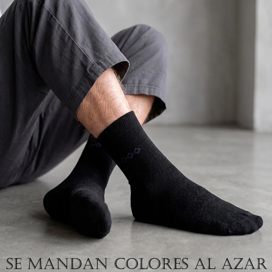 AT1008 EDICION 12138