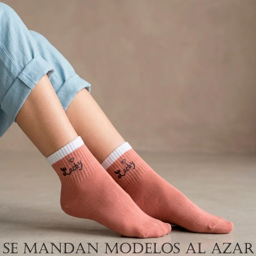 BE6014 edicion 12137