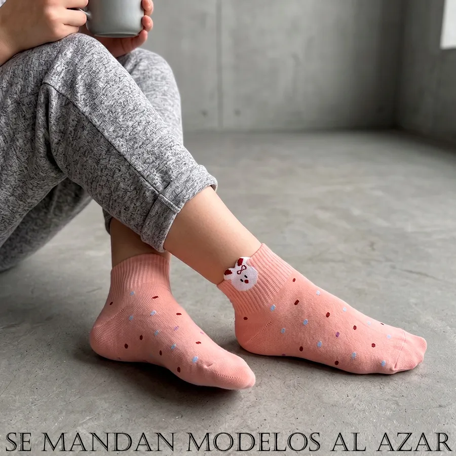 BE6016 edicion 12136