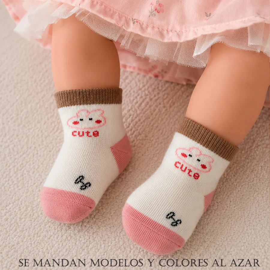 CD1003 EDICION 12165